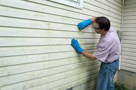 Affordable Siding Repair and Maintenance Services in Mitchell, SD